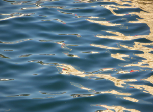 la mer dans sa douceur